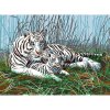 Malování podle čísla STM Creatoys Malování velké Royal Bílý tygr
