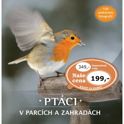 Ptáci v parcích a zahradách