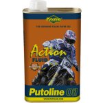 Putoline Action Fluid 1 l – Hledejceny.cz