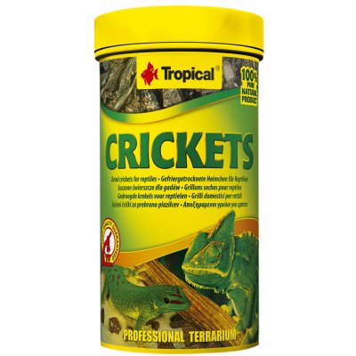 Tropical Crickets 250 ml