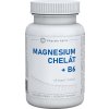 Doplněk stravy Magnesium Chelát + B6 kapslí 60
