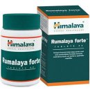 Himalaya Rumalaya Forte 60 tablet