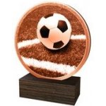 Poháry Bauer Dřevěná plaketa TFRW815 Fotbal – Sleviste.cz