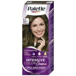 Palette Intensive Color Creme barva na vlasy ledový světle hnědý 5-1 – Hledejceny.cz