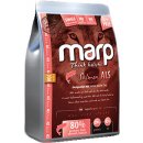 Marp Holistic Salmon ALS Grain Free 18 kg