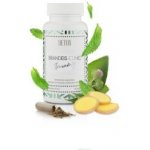 Detox Brandeis Clinic 60 kapslí – Hledejceny.cz