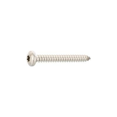 DIN7981C 5.5 x 22 Torx25 vrut do plechu s čočkovou hlav. z ušlecht. oceli A2 (100 ks) – Hledejceny.cz