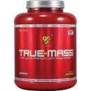 BSN True-Mass 2640 g