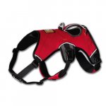Ruffwear Postroj pro psa Web Master Harness – Zboží Mobilmania