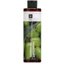 Bodyfarm sprchový gel Olivový olej Shower Gel Olive Oil 250 ml