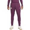 Pánské tepláky Nike kalhoty PSG NK DF STRK pant KPZ fn9429-610