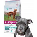 Eukanuba Daily Care Sensitive Digestion 12 kg – Zboží Mobilmania