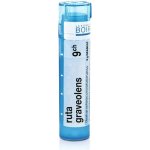 RUTA GRAVEOLENS POR 9CH GRA 4G – Hledejceny.cz