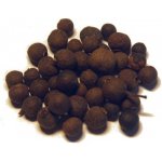Ebies Nové koření celé 50 g – Hledejceny.cz