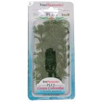 Tetra Green Cabomba 15 cm – Zboží Dáma
