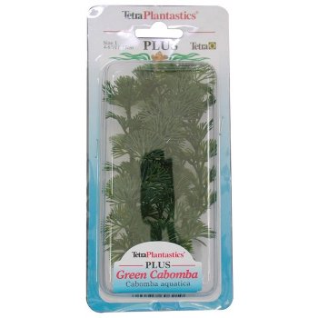 Tetra Green Cabomba 15 cm