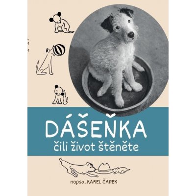 Dášeňka čili život štěněte – Hledejceny.cz