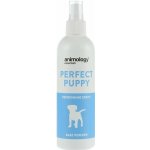 Animology Essentials šampon Baby Powder 250 ml – Zbozi.Blesk.cz