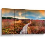 Obraz - Podzimní cesta krajinou, Čtyřdílný 160x80 cm – Hledejceny.cz