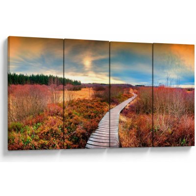 Obraz - Podzimní cesta krajinou, Čtyřdílný 160x80 cm – Hledejceny.cz