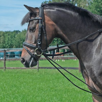 BUSSE Gumy vyvazovací Gummi černé – Zboží Dáma