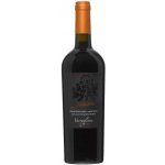 Varvaglione Passione Primitivo del Salento IGP 2021 14% 0,75 l (holá láhev) – Hledejceny.cz