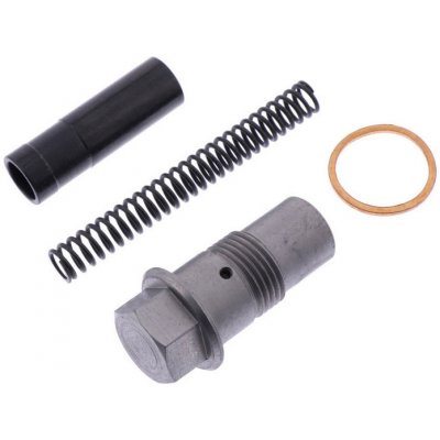 Napínák rozvodového řetězu BMW R1200 LC | Zboží Auto