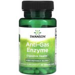 Swanson Anti-Gas Enzyme, 90 rostlinných kapslí – Sleviste.cz