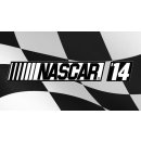 Hra na PC NASCAR 14