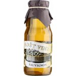 Vinný mošt SAUVIGNON 0,3l – Hledejceny.cz