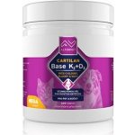 Cartilan BASE K2+D3 Mega 300 tbl – Hledejceny.cz