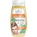 Šampon BC Bione Cosmetics Bio Cannabis šampon na vlasy proti lupům 260 ml