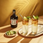 Diplomatico Mantuano 40% 0,7 l (holá láhev) – Zboží Dáma