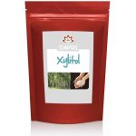 Iswari Xylitol sladidlo 250 g – Hledejceny.cz