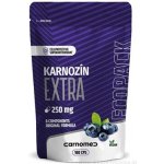CarnoMed Karnozín EXTRA 250 mg ECOPACK 180 kapslí – Hledejceny.cz