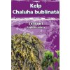 Vitamín a minerál Naturgreen Kelp Chaluha bublinatá organický jód 120 kapslí