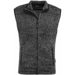 Alpine Pro Bednarv vesta – Zboží Dáma