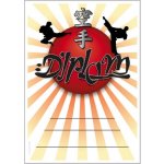 DK02a Diplom Karate – Hledejceny.cz