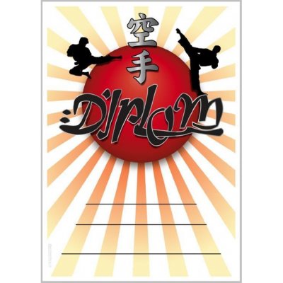 DK02a Diplom Karate – Hledejceny.cz
