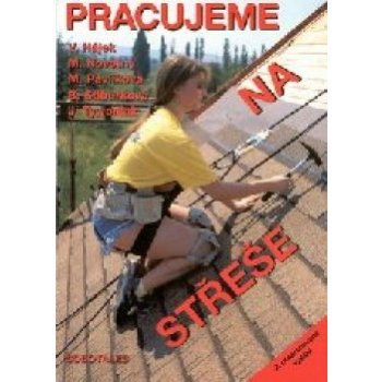 Pracujeme na střeše