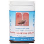 TCM Herbs Klenba malebného chrámu 100 tablet – Hledejceny.cz