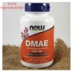 Doplněk stravy Now Foods DMAE dimetylaminoetanol 250 mg 100 kapslí
