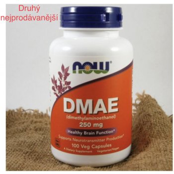 Now Foods DMAE dimetylaminoetanol 250 mg 100 kapslí