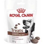 Royal Canin VHN Dog Gastrointestinal Treats 230 g – Zboží Mobilmania