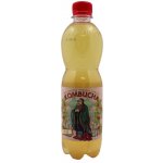 Stevikom Kombucha šípek 0,5 l – Zboží Dáma