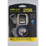 PNY SDXC 256 GB P-SDX256U395-GE – Zboží Živě