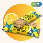 Lifefood Lifebar Oat snack BIO 40 g – Hledejceny.cz