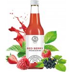 Bala21 Probiodrink Red Berry Kombucha s probiotiky 330 ml – Hledejceny.cz