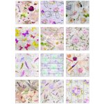 Ag Design F 1061 samolepicí dekorace na zeď Creative rozměry 65x85cm – Sleviste.cz