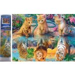 Norimpex Diamantové malování Kočičí sny 30 x 40 cm – Hledejceny.cz